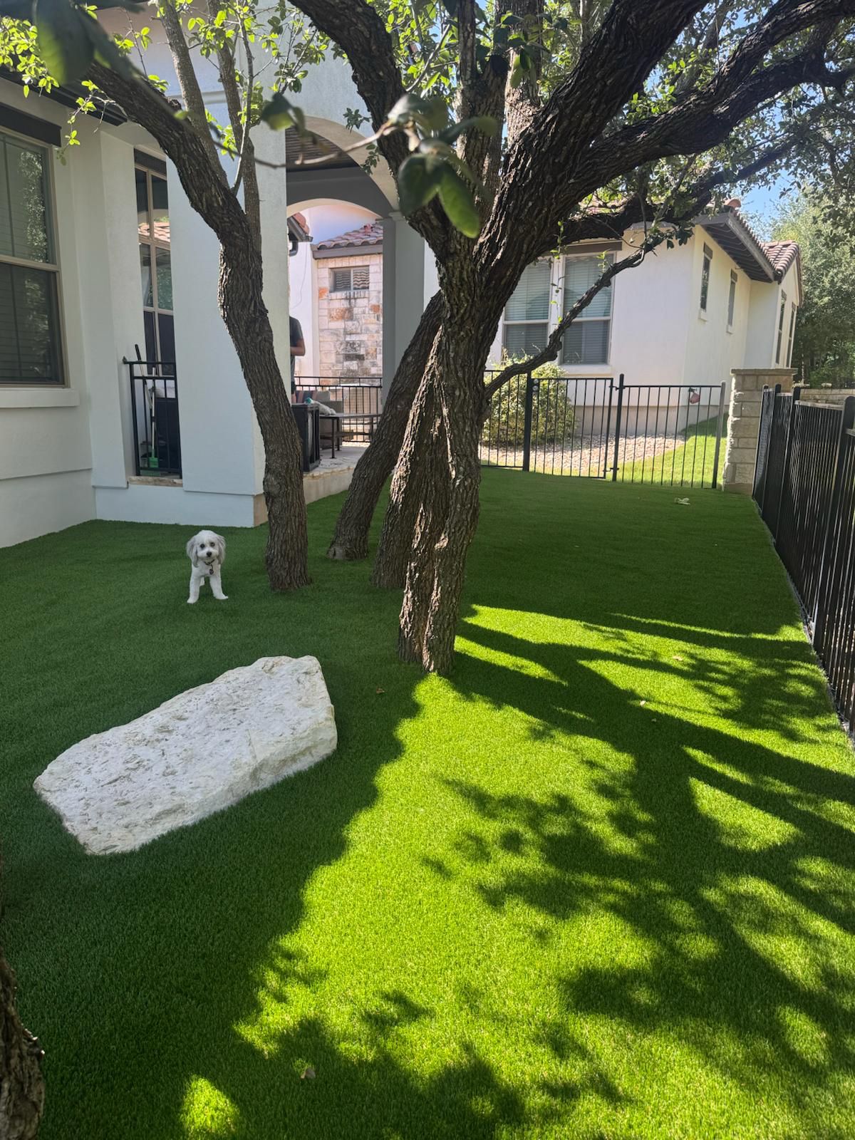 Pet Turf 3